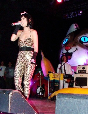Katy Perry en catwomen sexy
